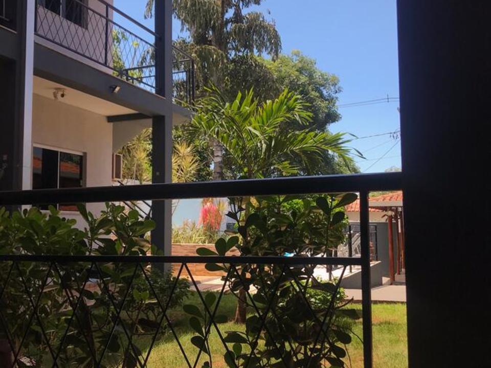 Papaya - Bonito